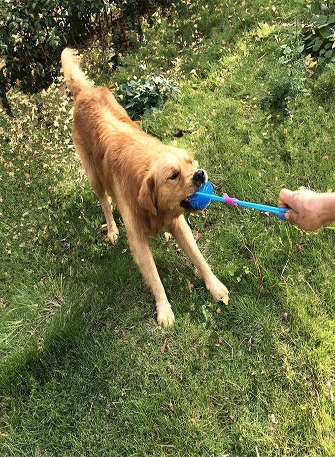 Pet Believe مجموعة بيت بيليف المكونة من 3 قطع من كرات المضغ الصريرية للكلاب، كرات ناعمة للطعن، ألعاب تنظيف الأسنان، كرات ذات ارتداد عالٍ للحيوانات الأليفة الصغيرة والمتوسطة والكبيرة من الكلاب والقطط (6.5 سم) - Image 5